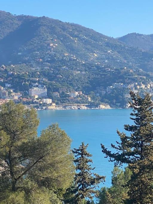 La Casa Di Andrea Grande Appartamento A Due Passi Dalle Spiagge Rapallo Luaran gambar